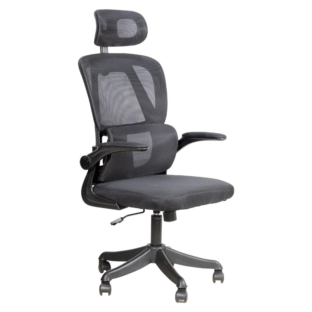 Cadeira Escritorio Ergonomica Syberflex com Apoio Lombar