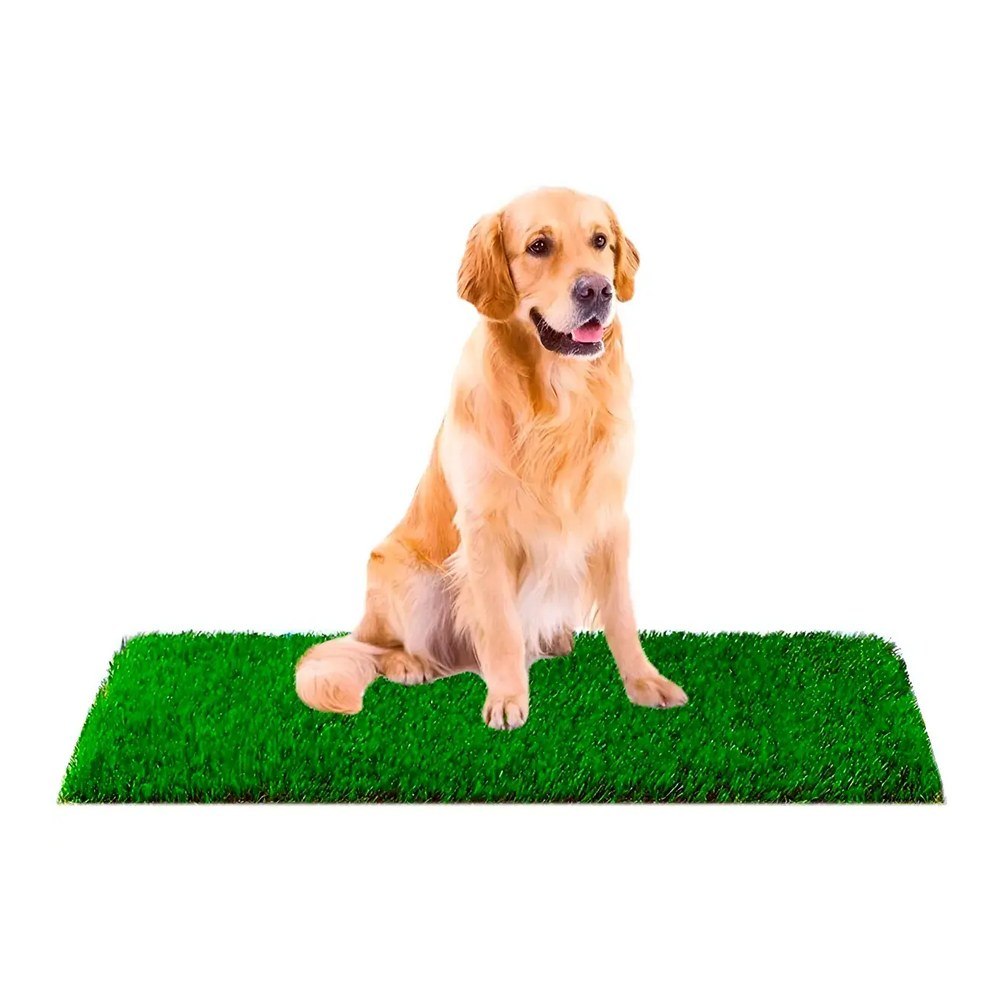 Grama sintética Decortech SoftGrass higiénica para seu cachorro gato cor verde